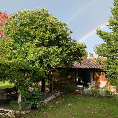 restructuration jardin maison gallieni bordeaux